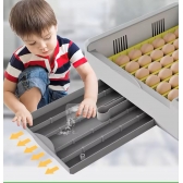 Chocadeira 36 Ovos Temperatura E Umidade Digital + Ovoscópio