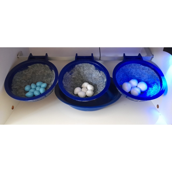 Chocadeira Compacta Para Pássaros Com 3 Ninhos