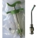 Kit Profissional P/ Alimentação De Filhotes De Pássaros