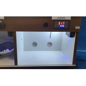 Chocadeira Para Pássaros + Estufa Para Filhotes