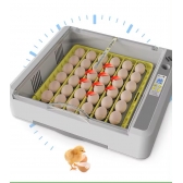Chocadeira 36 Ovos Temperatura E Umidade Digital + Ovoscópio
