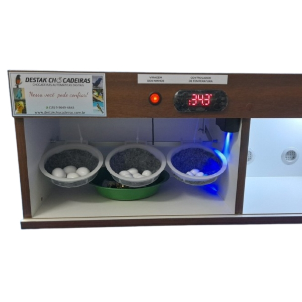 Chocadeira Para Pássaros + Estufa Para Filhotes