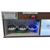 Chocadeira Para Pássaros + Estufa Para Filhotes